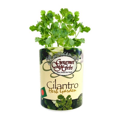 Cilantro Garden in Eco-Friendly Grocan