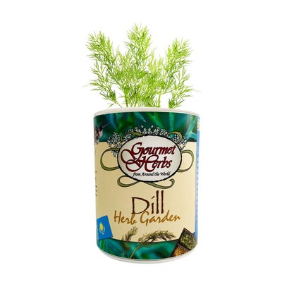 Dill Garden in Eco-Friendly Grocan