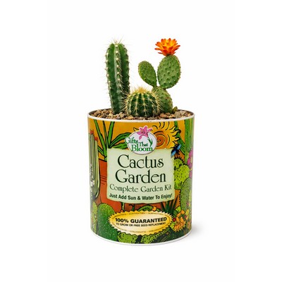 Cactus Garden in Eco-Friendly Grocan